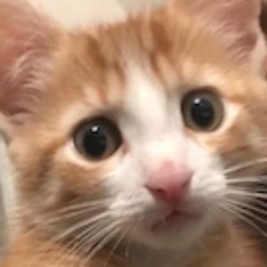 Meet your Posher, Marcus